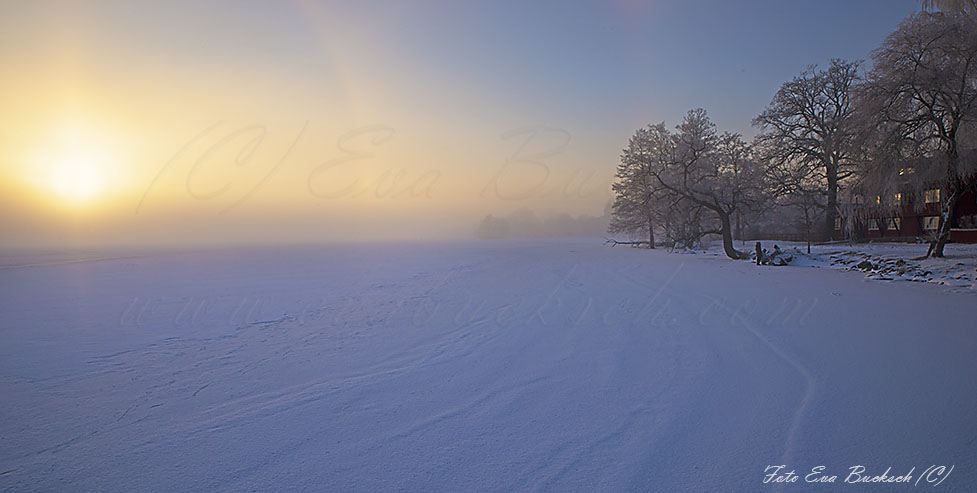 Foto av Eva Bucksch